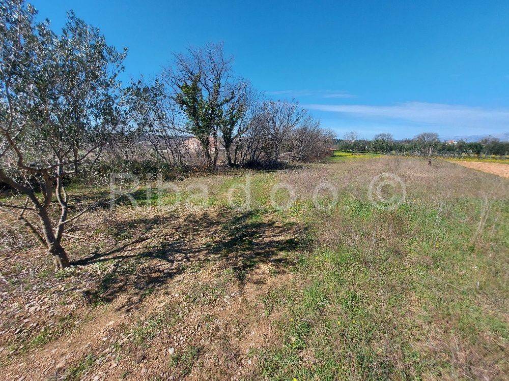 Građevinsko zemljište, Prodaja, Novigrad, Pridraga