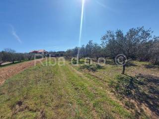 Građevinsko zemljište, Prodaja, Novigrad, Pridraga