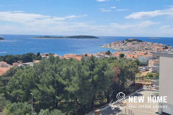 Pogled