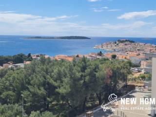 Pogled