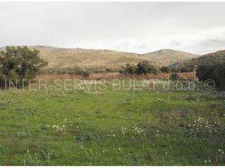 Poljoprivredno, Prodaja, Šibenik - Okolica, Donje Polje