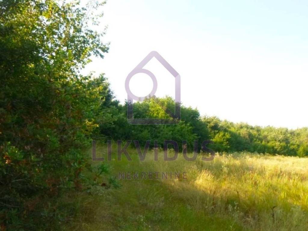 Poljoprivredno zemljište, Prodaja, Svetvinčenat, Smoljanci