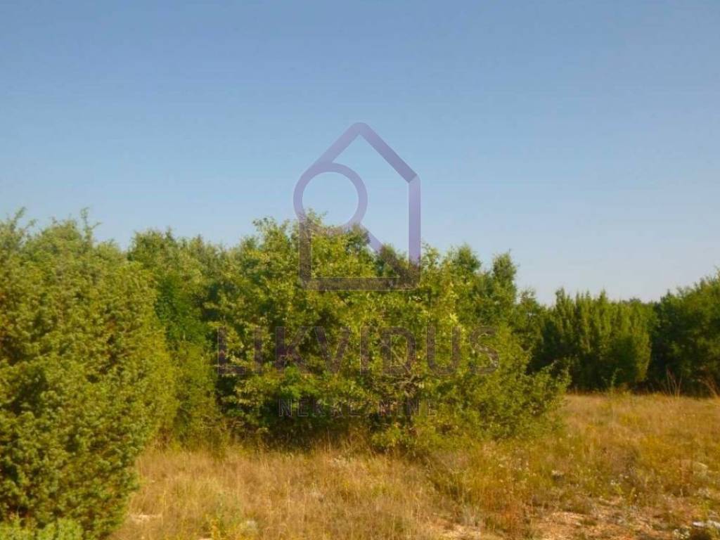Poljoprivredno zemljište, Prodaja, Svetvinčenat, Smoljanci