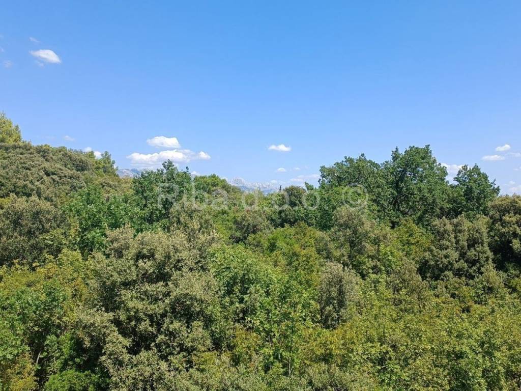 Apartmanska kuća, Prodaja, Posedarje, Posedarje