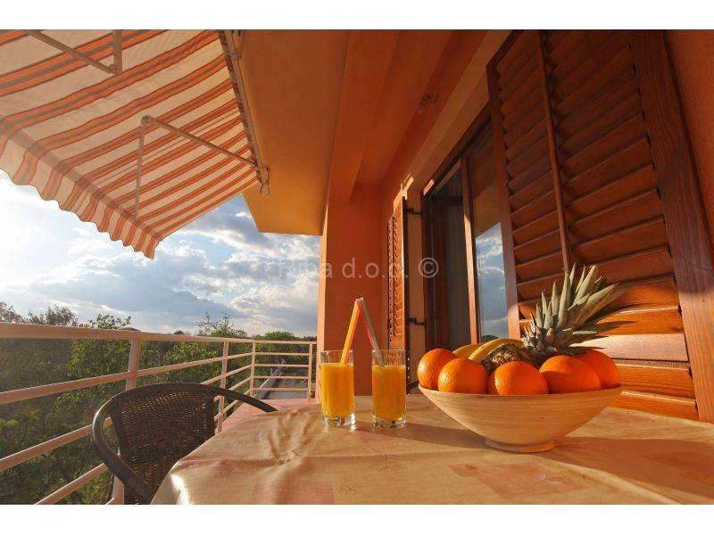 Apartmanska kuća, Prodaja, Sukošan, Sukošan
