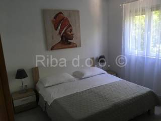 Apartmanska kuća, Prodaja, Starigrad, Tribanj
