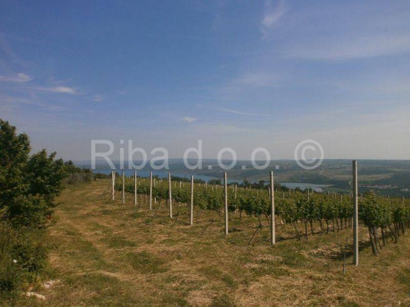 Građevinsko mješovito, Prodaja, Posedarje, Posedarje