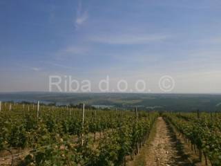 Građevinsko mješovito, Prodaja, Posedarje, Posedarje