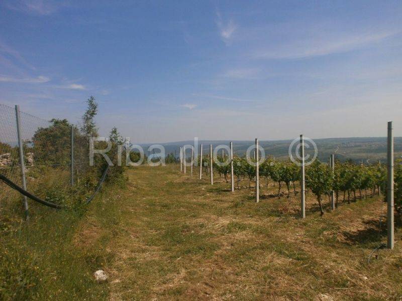 Građevinsko mješovito, Prodaja, Posedarje, Posedarje