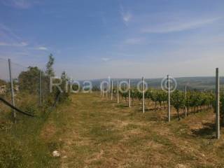 Građevinsko mješovito, Prodaja, Posedarje, Posedarje