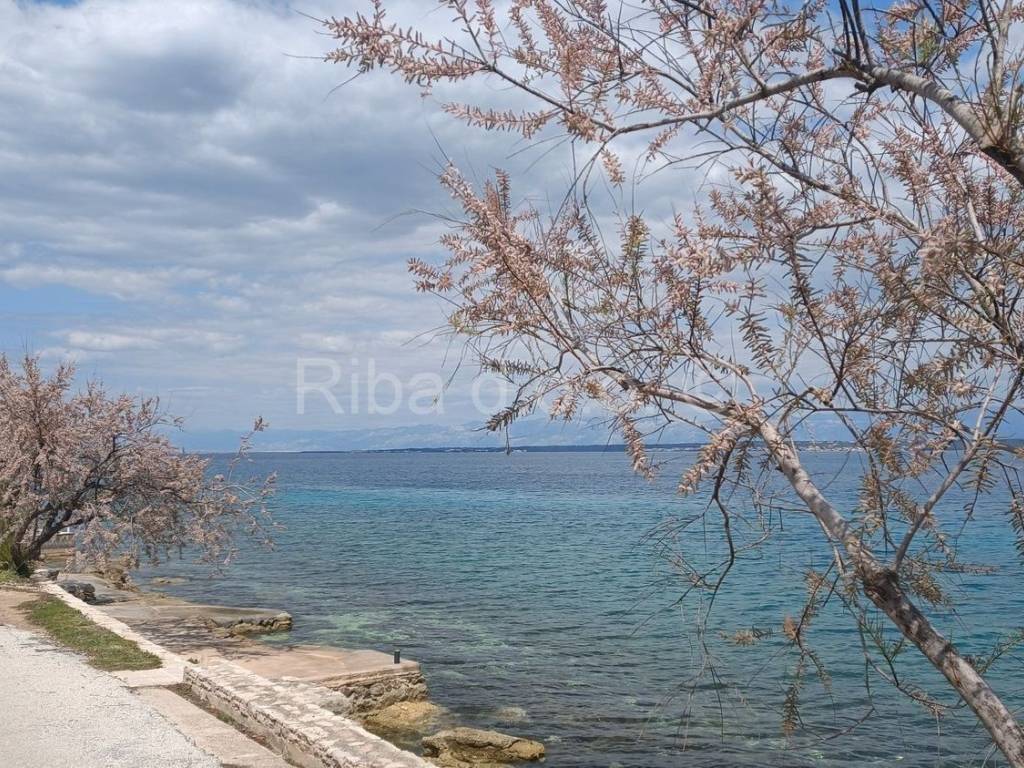 Apartmanska kuća, Prodaja, Preko, Lukoran