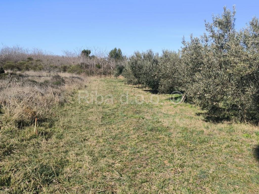 Građevinsko zemljište, Prodaja, Privlaka, Privlaka