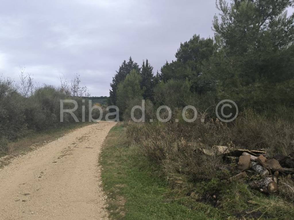 Građevinsko zemljište, Prodaja, Ražanac, Ljubač