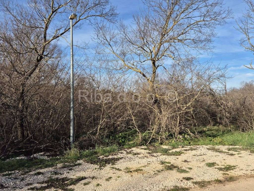 Građevinsko zemljište, Prodaja, Poličnik, Murvica