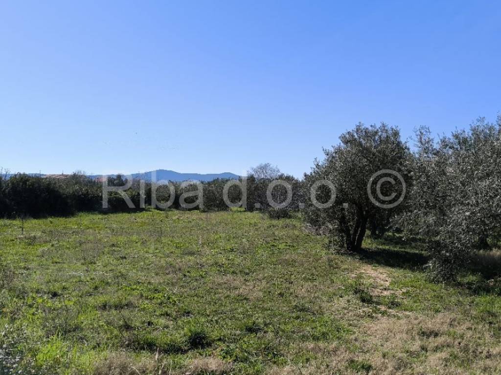 Građevinsko zemljište, Prodaja, Sukošan, Sukošan