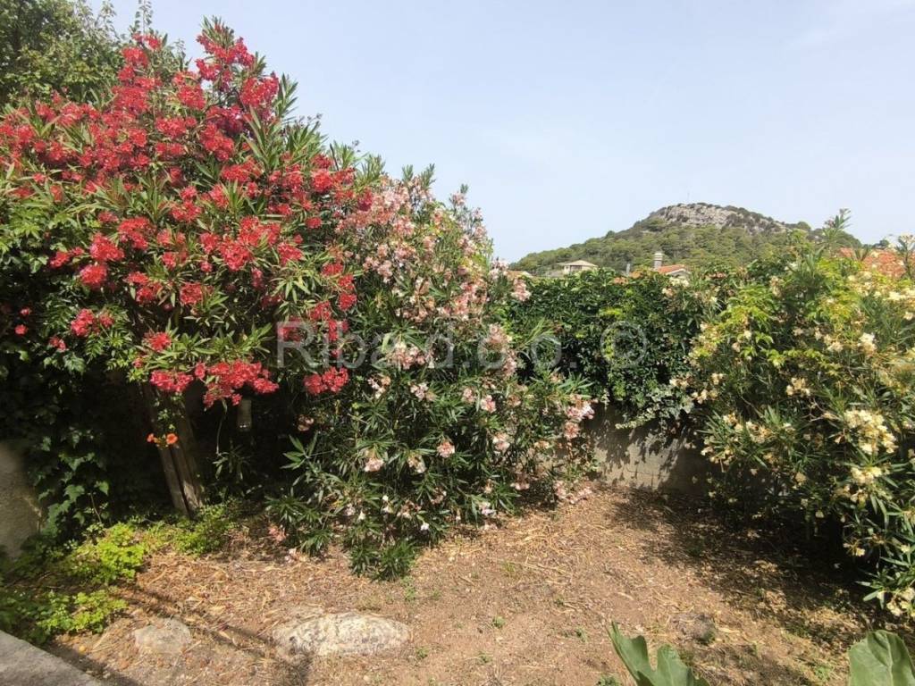 Kuća na moru, Prodaja, Pakoštane, Vrgada