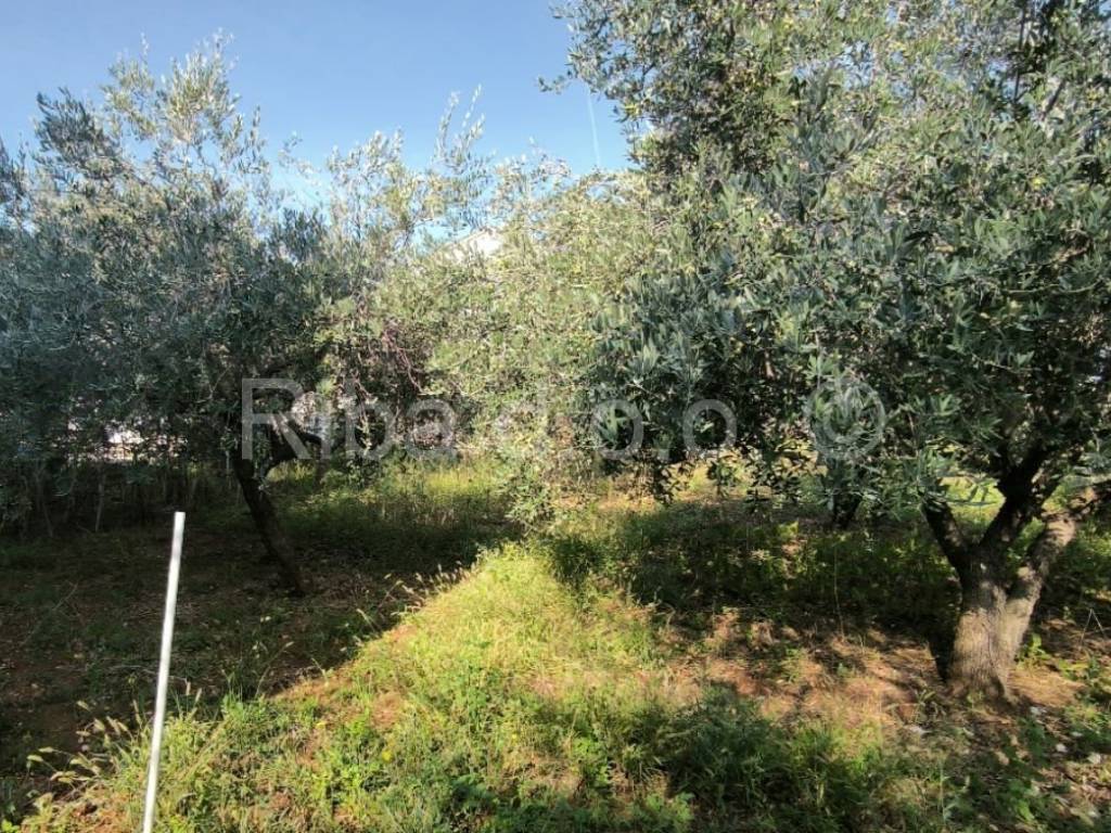 Građevinsko zemljište, Prodaja, Zadar - Okolica, Petrčane