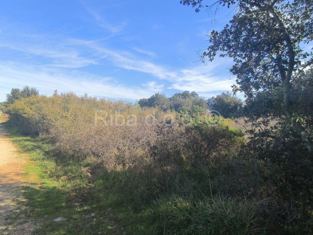 Građevinsko zemljište, Prodaja, Preko, Ugljan
