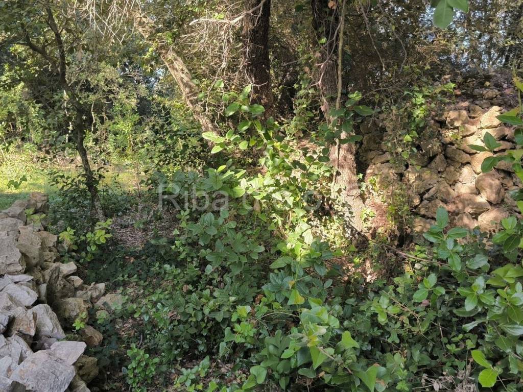 Građevinsko zemljište, Prodaja, Pašman, Ždrelac