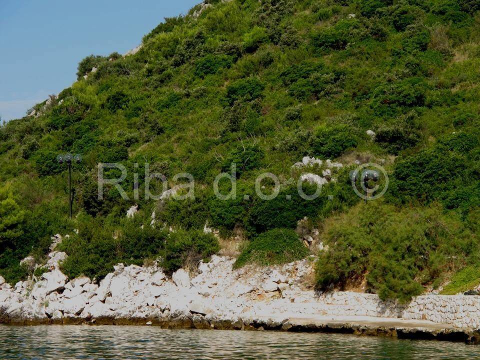 Zemljište, Prodaja, Sali, 2286m²