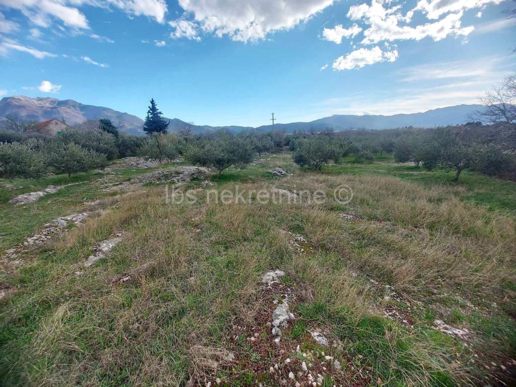 Građevinsko zemljište, Prodaja, Šestanovac, Šestanovac