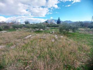 Građevinsko zemljište, Prodaja, Šestanovac, Šestanovac