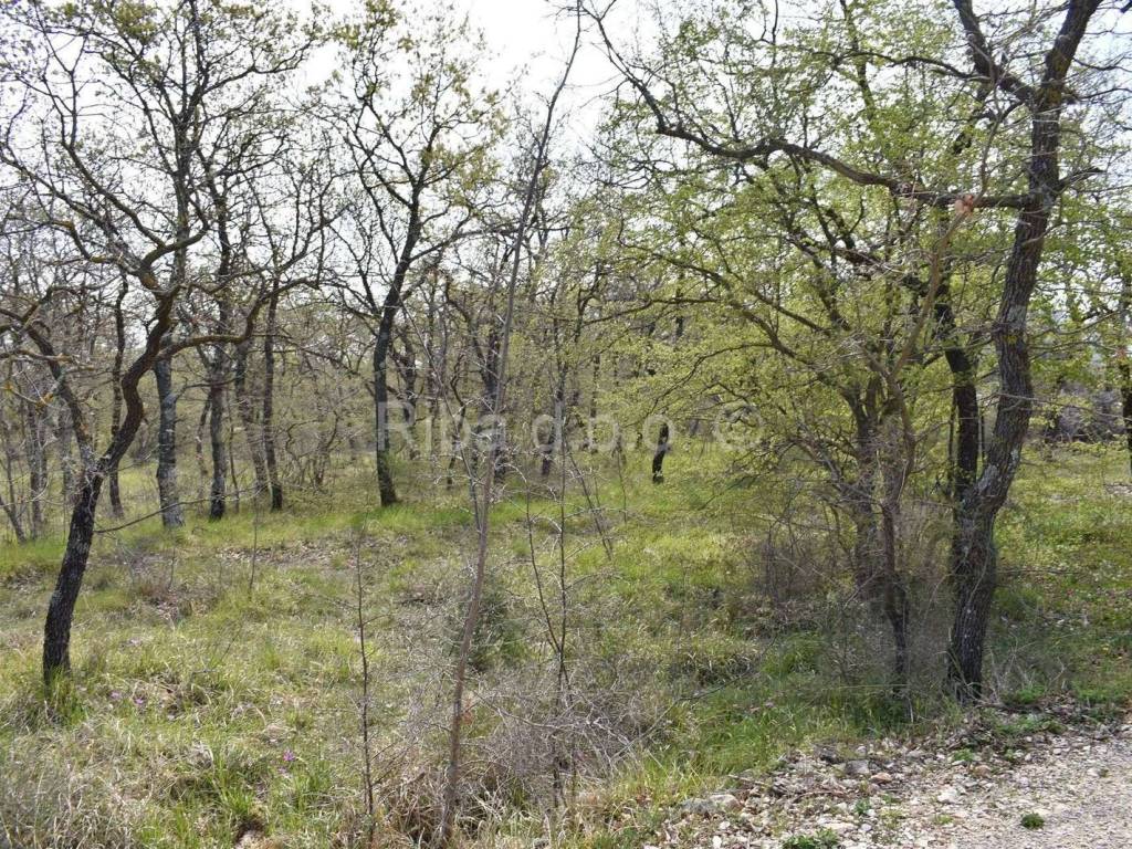 Građevinsko zemljište, Prodaja, Poličnik, Lovinac