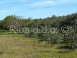 Građevinsko zemljište, Prodaja, Posedarje, Posedarje