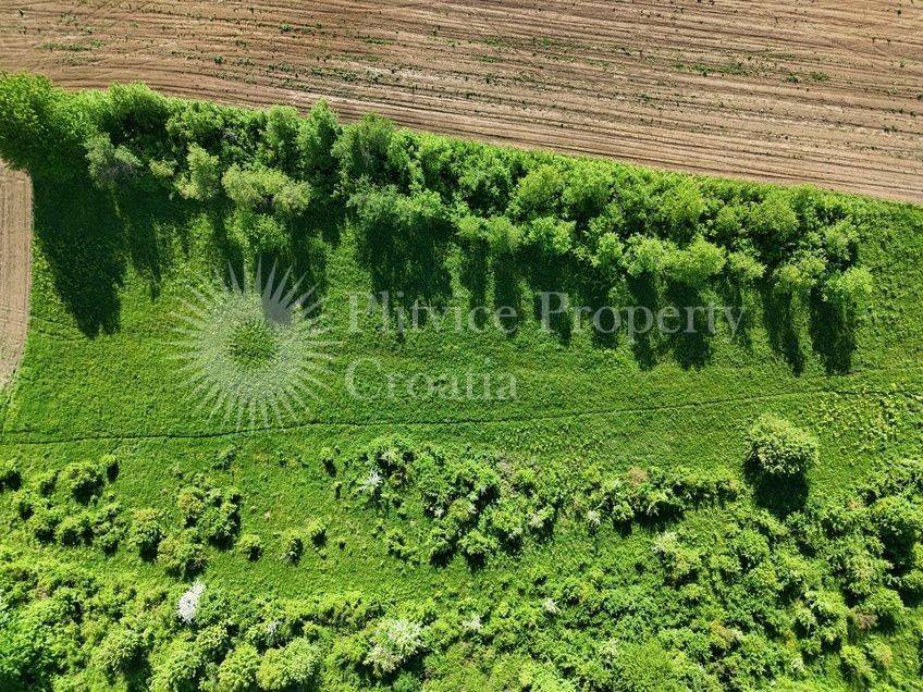 Građevinsko zemljište, Prodaja, Rakovica, Grabovac