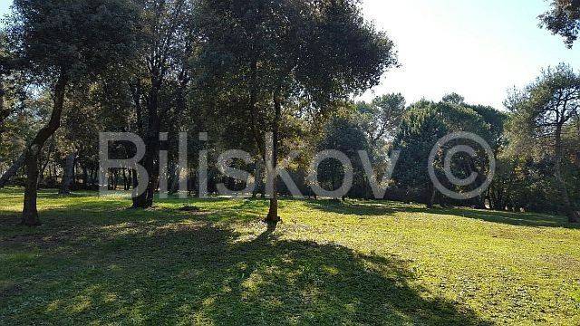 Građevinsko turističko, Prodaja, Rovinj, Rovinj