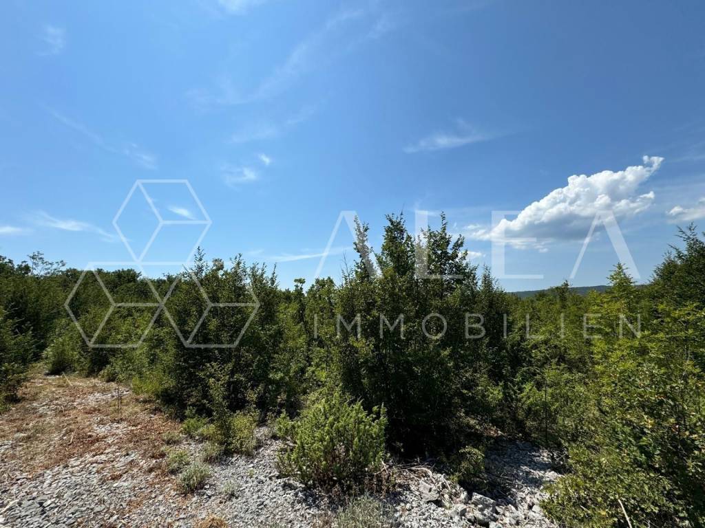 Poljoprivredno zemljište, Prodaja, Labin, Labin