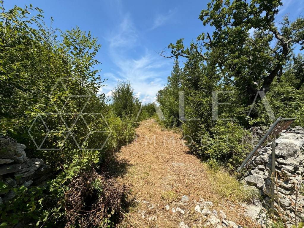 Poljoprivredno zemljište, Prodaja, Labin, Labin