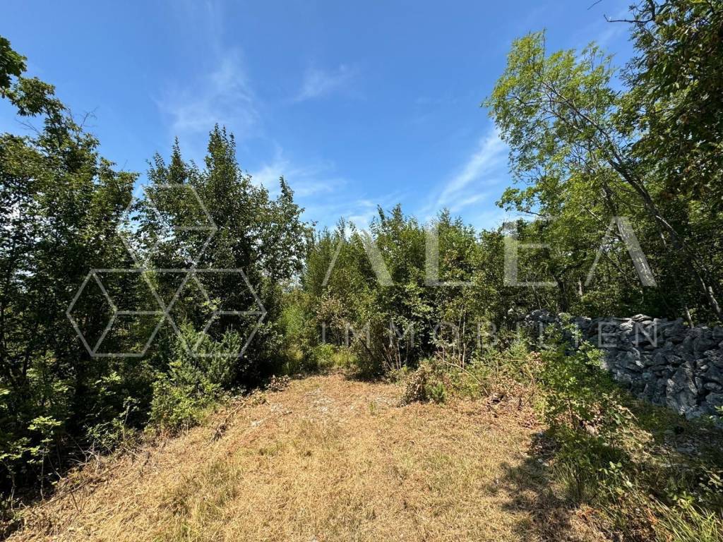 Poljoprivredno zemljište, Prodaja, Labin, Labin