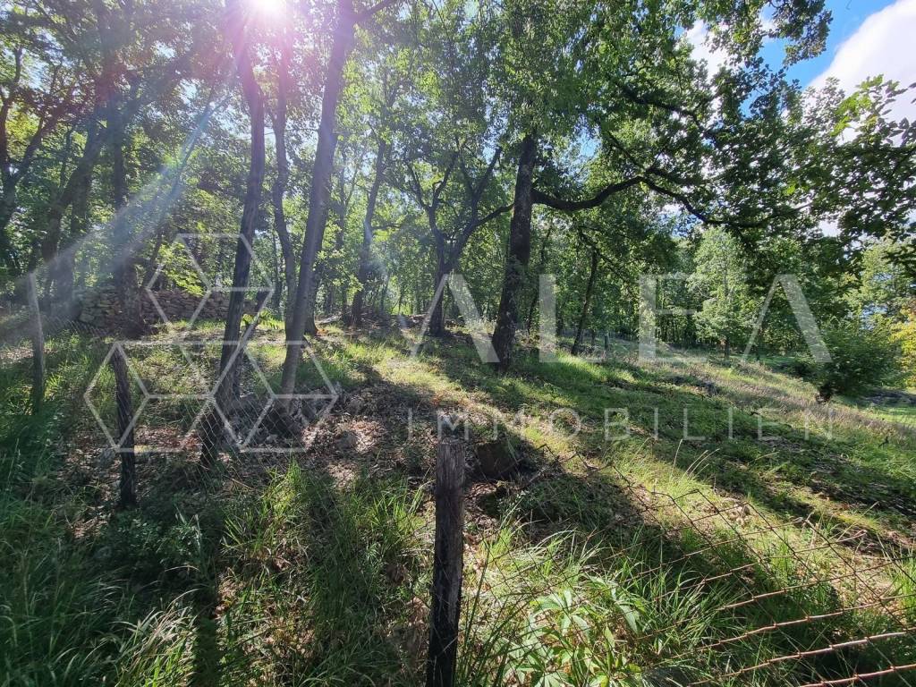 Poljoprivredno zemljište, Prodaja, Labin, Labin