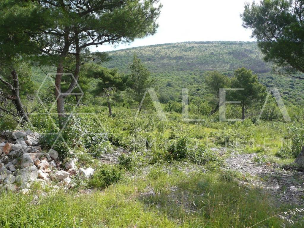 Građevinsko zemljište, Prodaja, Raša, Sveti Lovreč Labinski