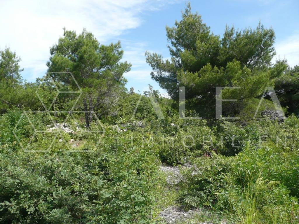 Građevinsko zemljište, Prodaja, Raša, Sveti Lovreč Labinski