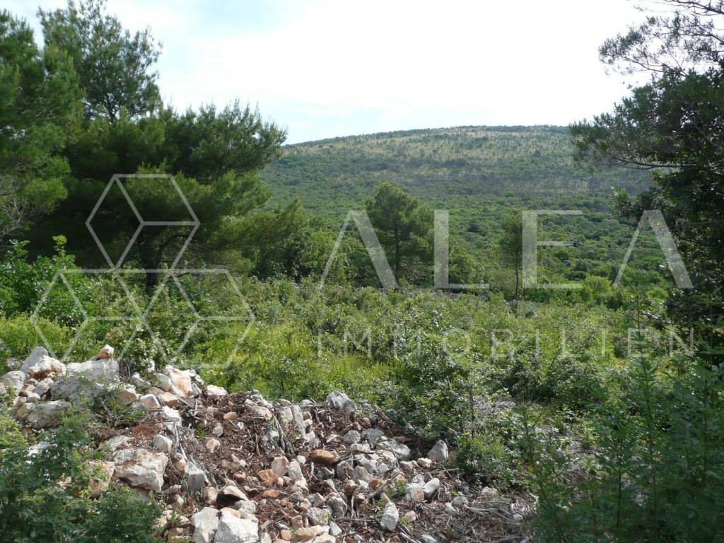 Građevinsko zemljište, Prodaja, Raša, Sveti Lovreč Labinski