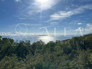 Poljoprivredno zemljište, Prodaja, Labin, Ripenda Kosi