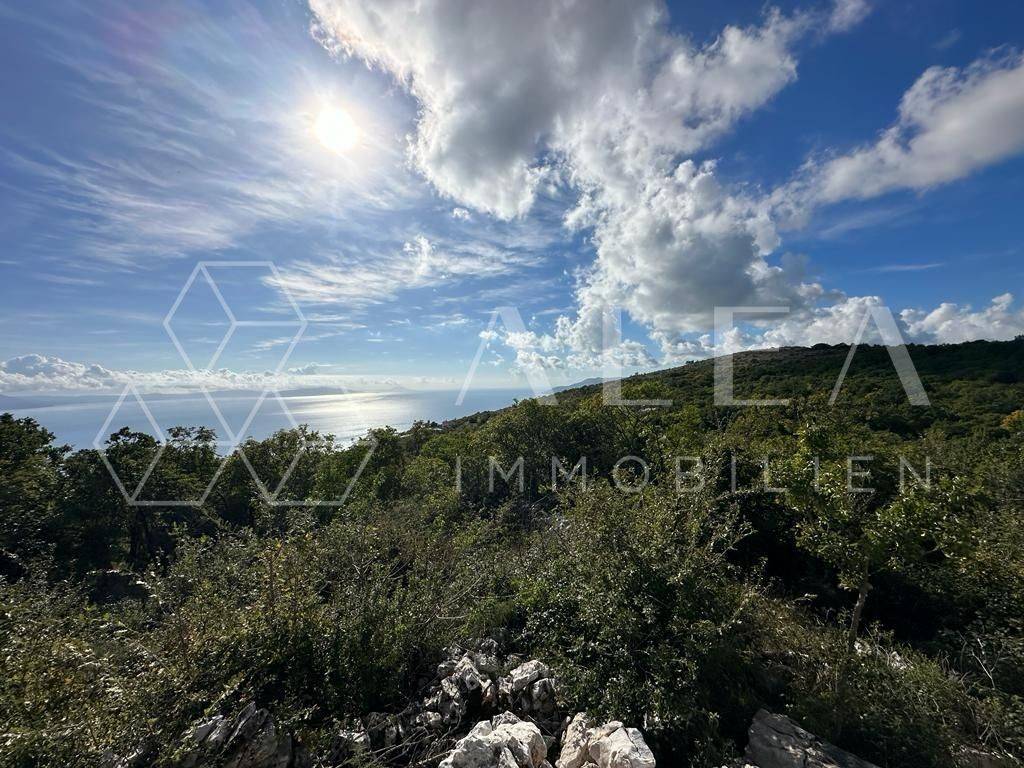 Poljoprivredno zemljište, Prodaja, Labin, Ripenda Kosi