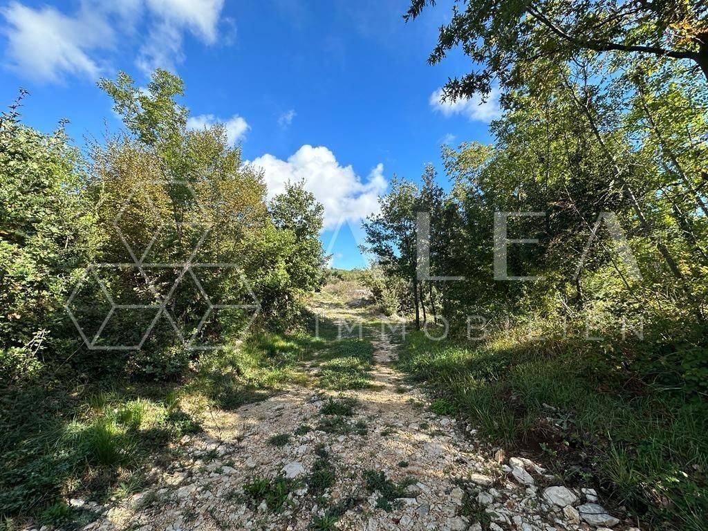 Poljoprivredno zemljište, Prodaja, Labin, Ripenda Kosi
