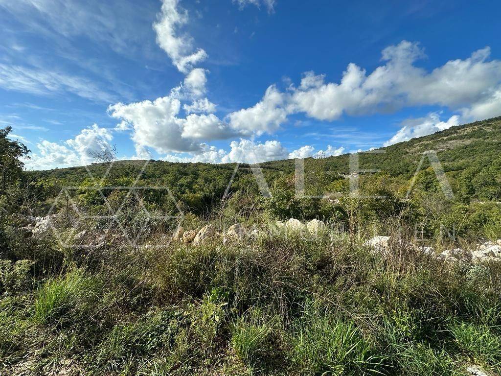 Poljoprivredno zemljište, Prodaja, Labin, Ripenda Kosi