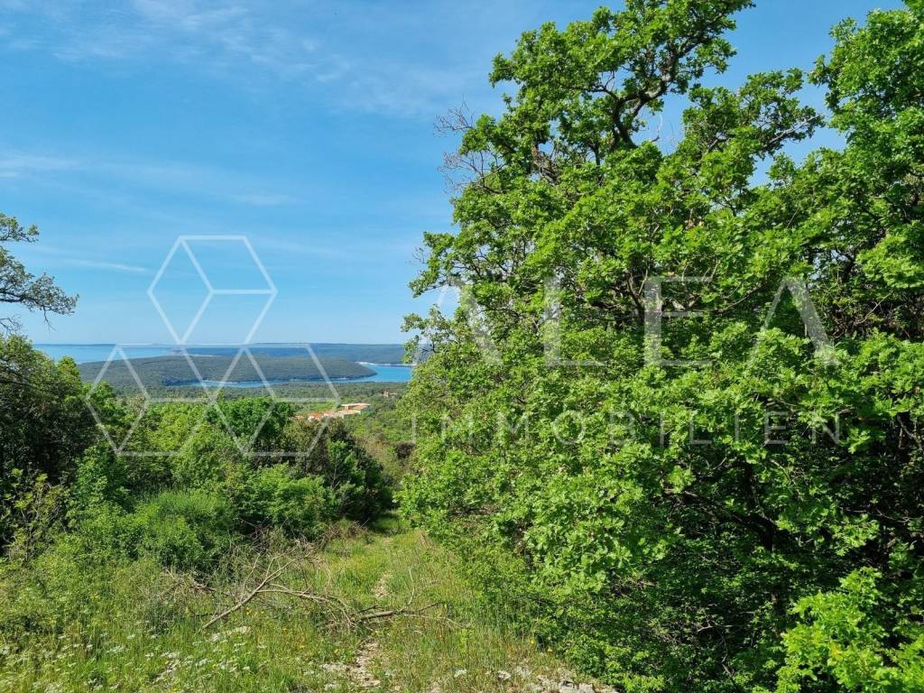 Poljoprivredno zemljište, Prodaja, Labin, Labin