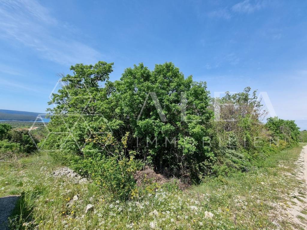 Poljoprivredno zemljište, Prodaja, Labin, Labin