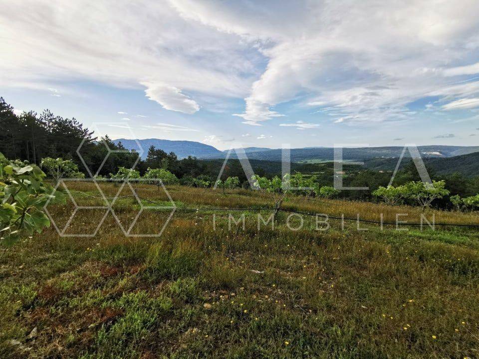 Poljoprivredno zemljište, Prodaja, Kršan, Kršan