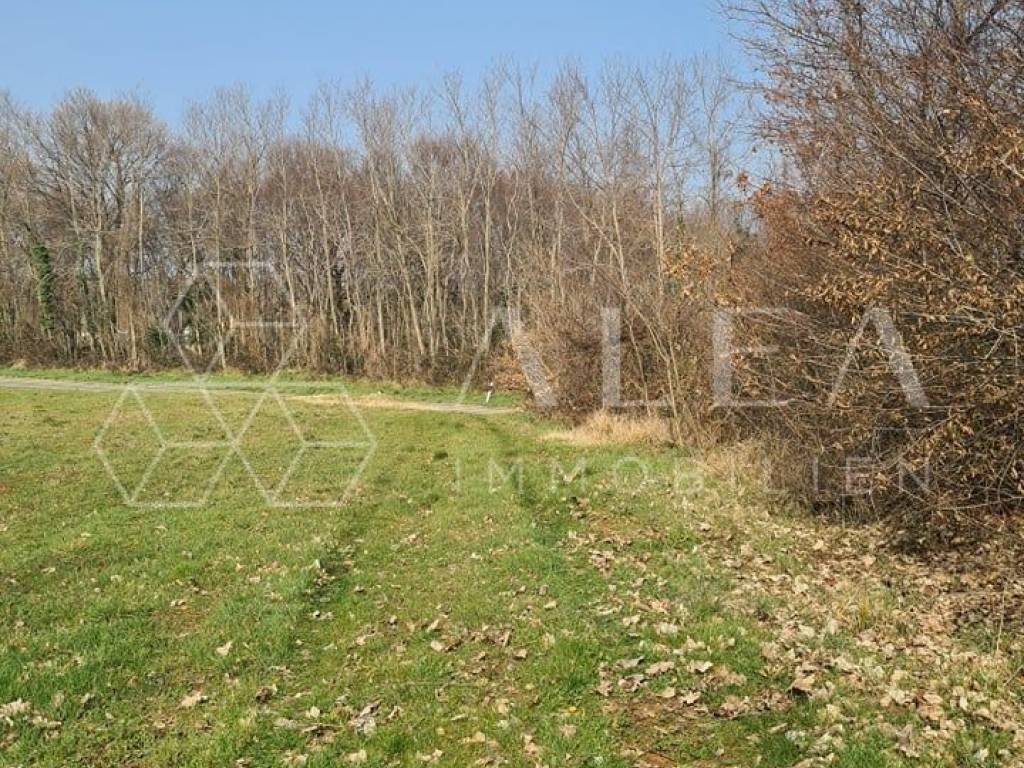 Poljoprivredno zemljište, Prodaja, Barban, Barban