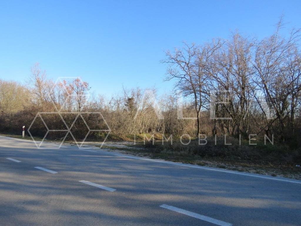 Poljoprivredno zemljište, Prodaja, Barban, Barban
