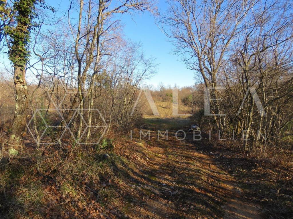 Poljoprivredno zemljište, Prodaja, Barban, Barban