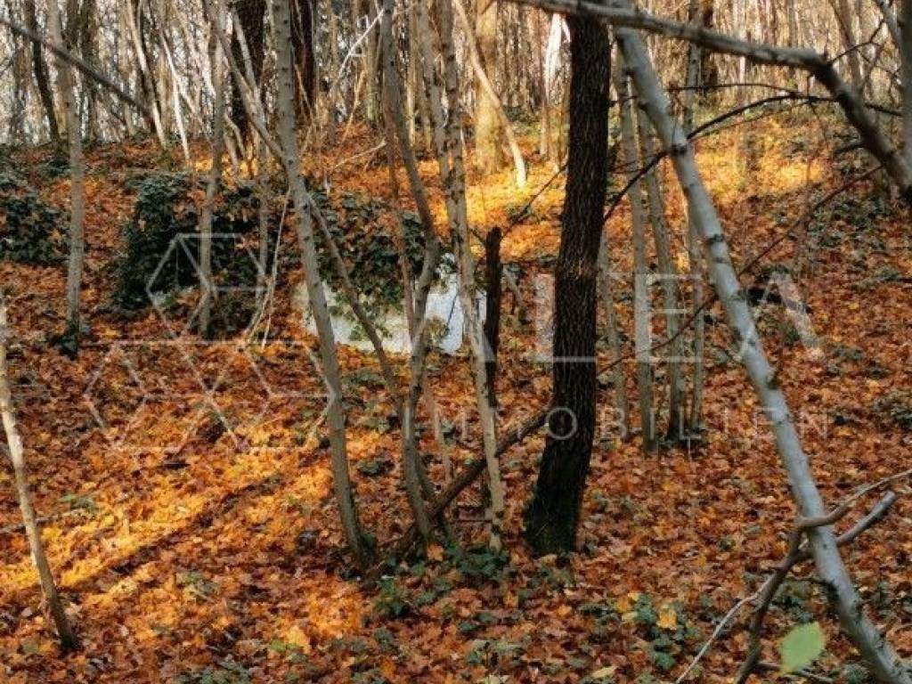 Poljoprivredno zemljište, Prodaja, Labin, Labin