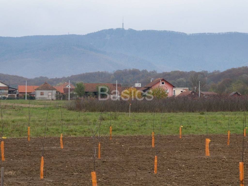 Plot for construction, Sale, Jakovlje, Jakovlje