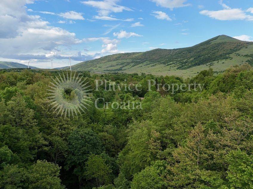 Obiteljska kuća, Prodaja, Gračac, Gračac